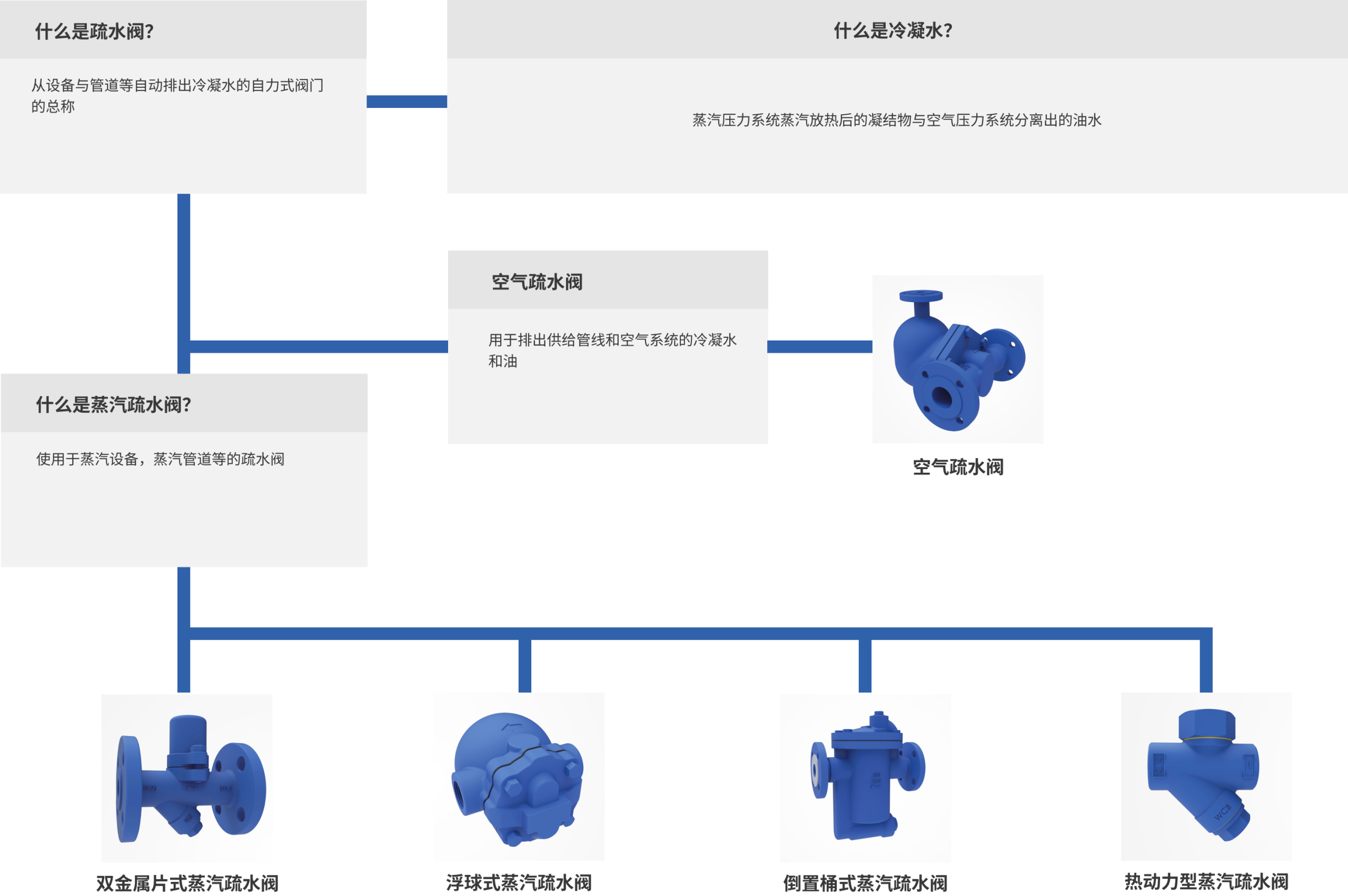 分类页面自定义模块
